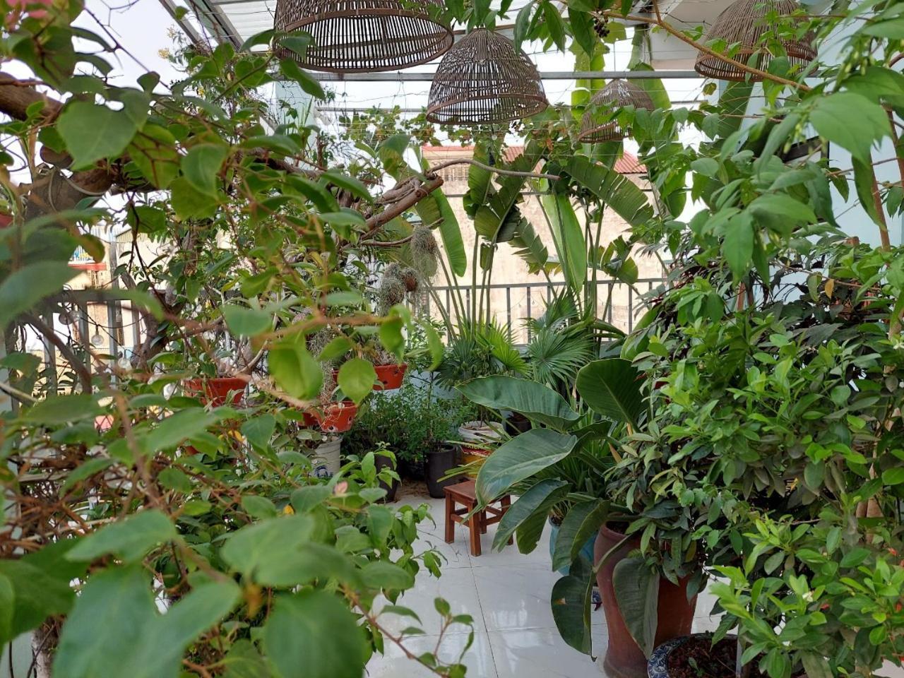 Alleyhomestay 2 Hanoi